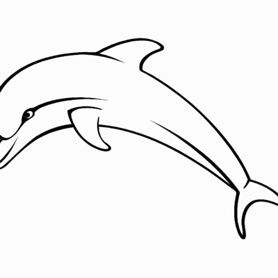 Dolphin